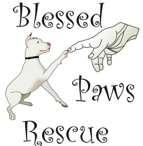 Blessed Paws Animal Rescue Inc