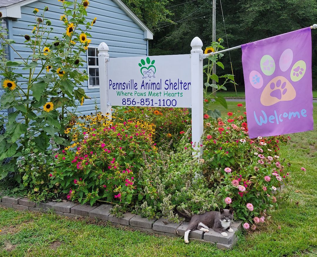 Pennsville Animal Shelter
