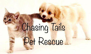 Chasing Tails Rescue