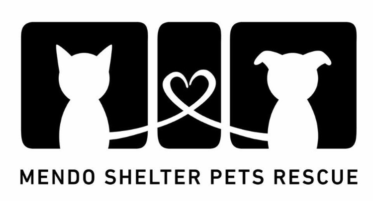 Pets for Adoption at Mendo Shelter Pets Rescue, in Willits , CA | Petfinder