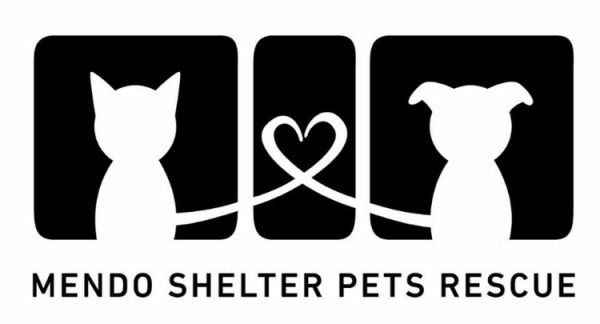 Mendo Shelter Pets Rescue