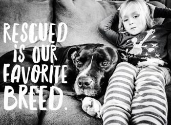 Rescued is Our Favorite Breed