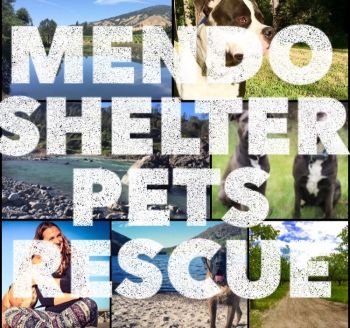 Mendo Shelter Pets Rescue is Your Community Rescue