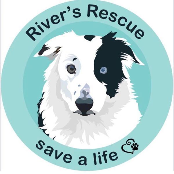 River's Rescue