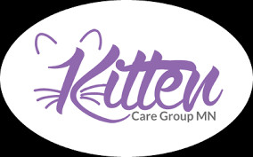 Kitten Care Group MN