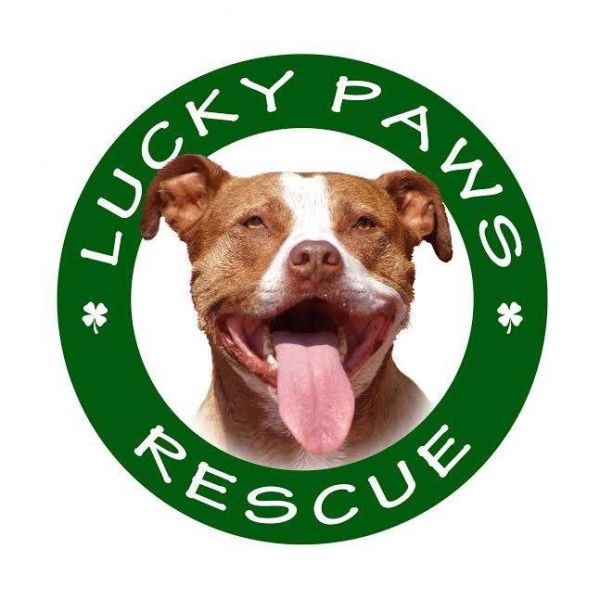 Lucky Paws Rescue