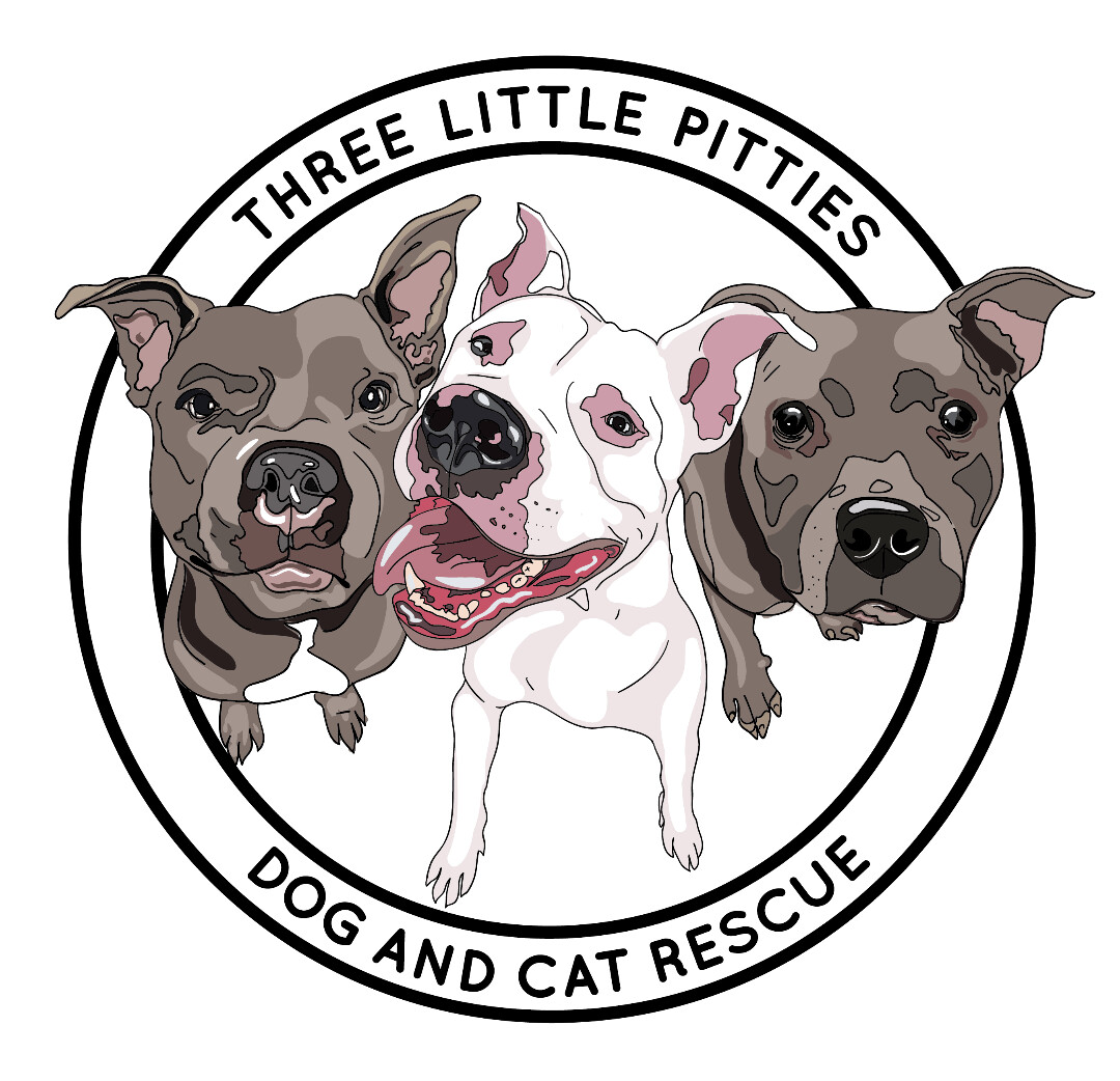 Three Little Pitties Rescue