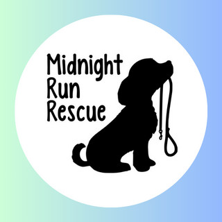 Midnight Run Rescue