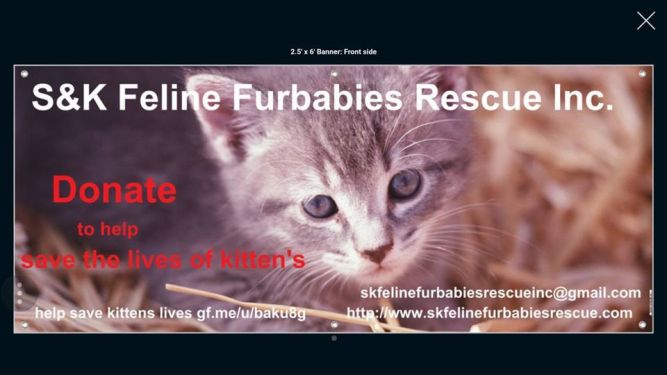 S & K Feline Furbabies Rescue