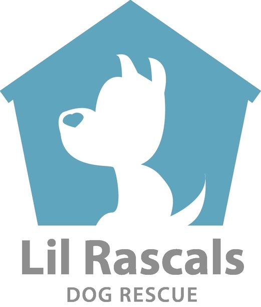 Adoption at Lil' Rascals Dog Rescue 