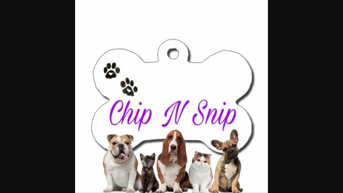 Chip N Snip