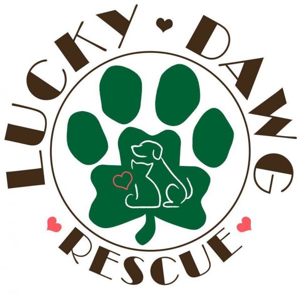 Lucky Dawg Animal Rescue, Inc.
