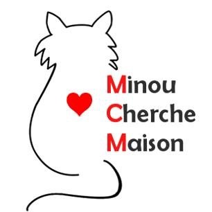 Minou Cherche Maison