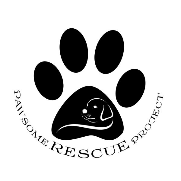 Pawsome Rescue Project 