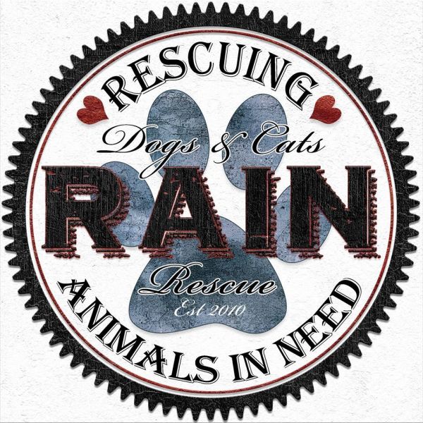 RAIN - Rescuing Animals In Need
