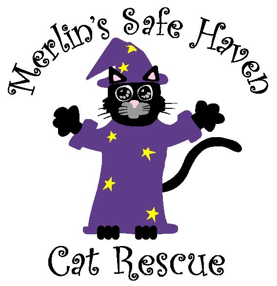 Safe haven 2024 cat shelter