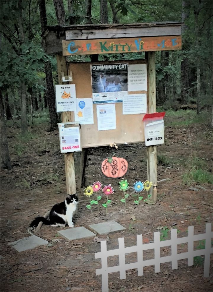 Welcome to Cape Kitty Village