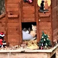 Huddling in for cold weather