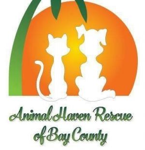 Animal Haven Rescue of Bay County Florida, Inc