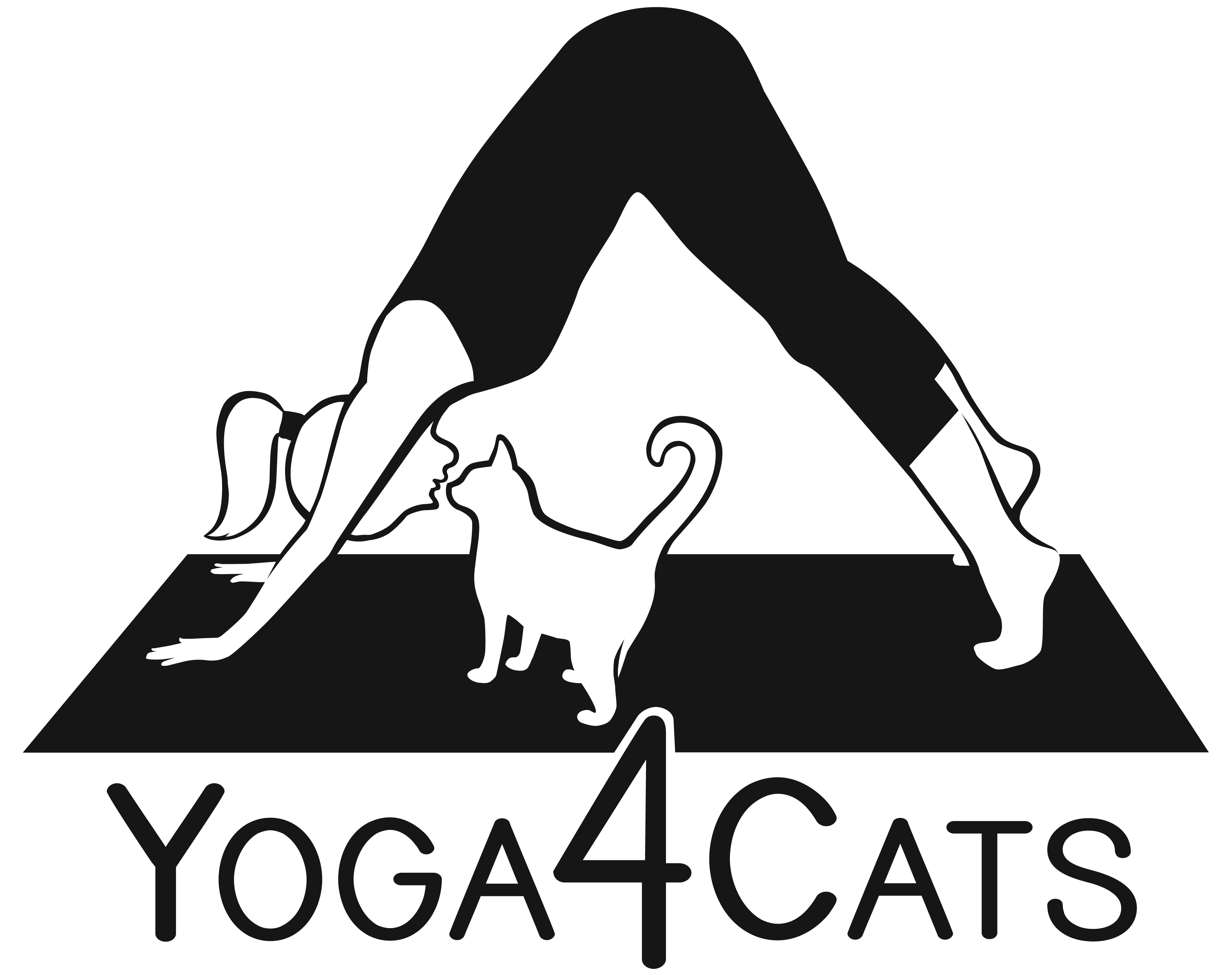 Yoga4Cats