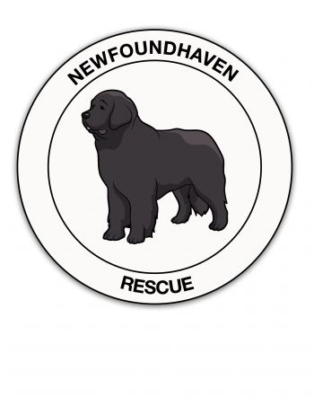 Newfoundhaven on Petfinder