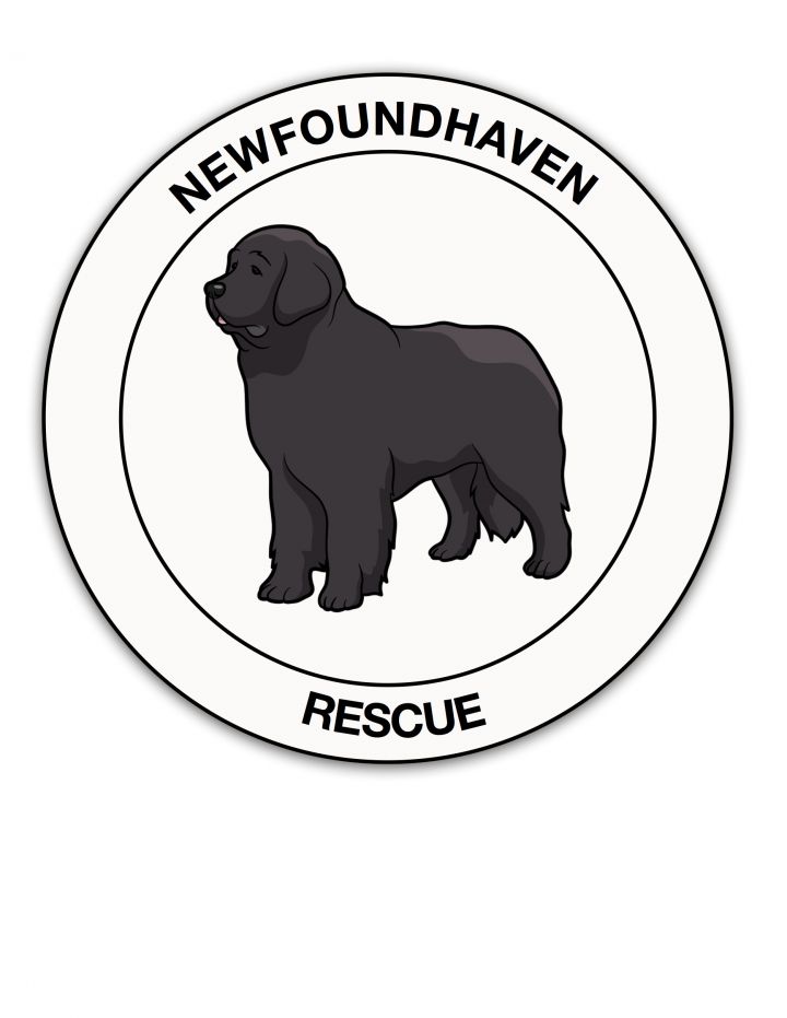 Newfoundhaven on Petfinder