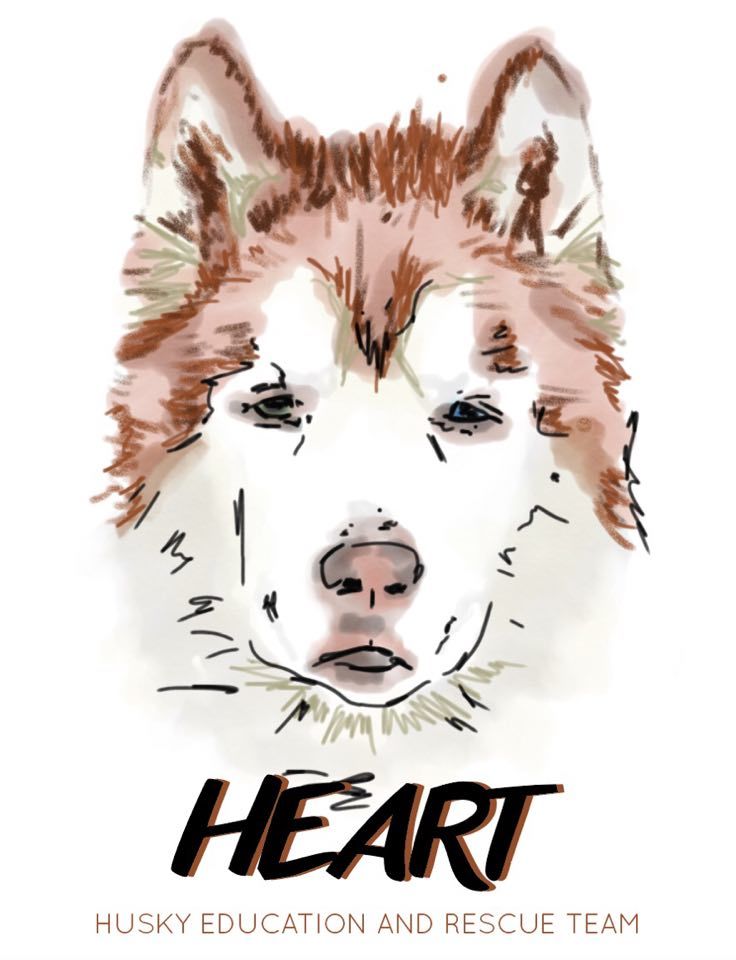 Husky Education And Rescue Team