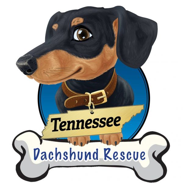 Tennessee Dachshund Rescue