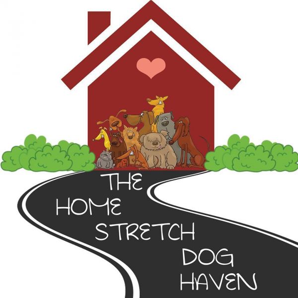 The Home Stretch Dog Haven