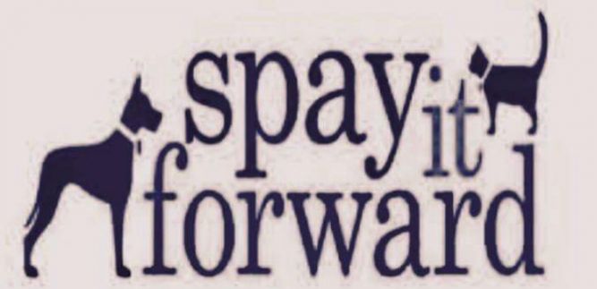 Spay It Forward East TN