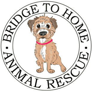 Bridge To Home Animal Rescue