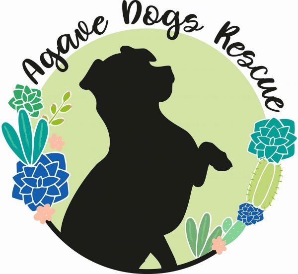 Agave Dogs Rescue