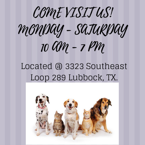 Pets for Adoption at Lubbock Animal Services, in Lubbock, TX | Petfinder