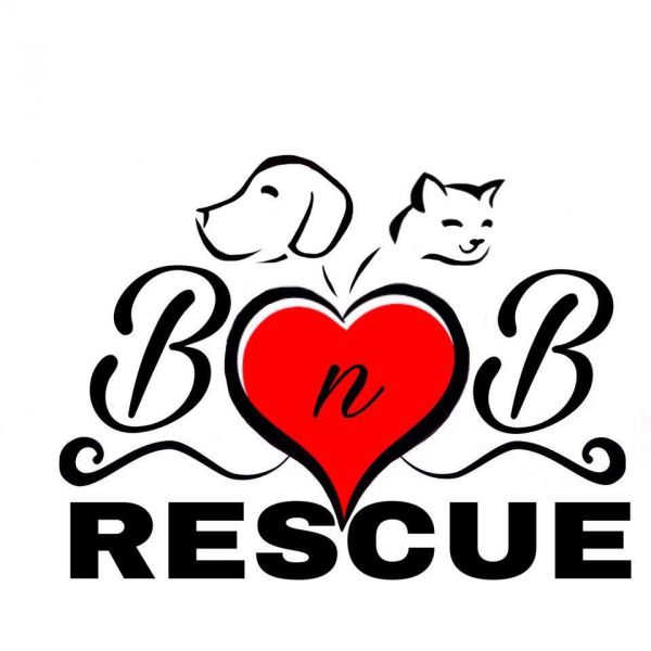 BnB Rescue