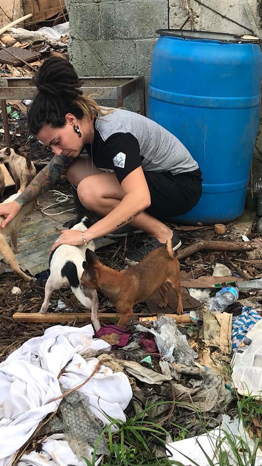 Saving pups