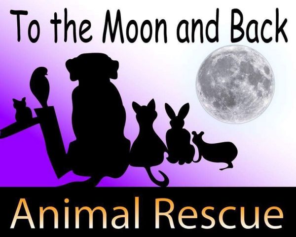 To the Moon and Back Animal Rescue