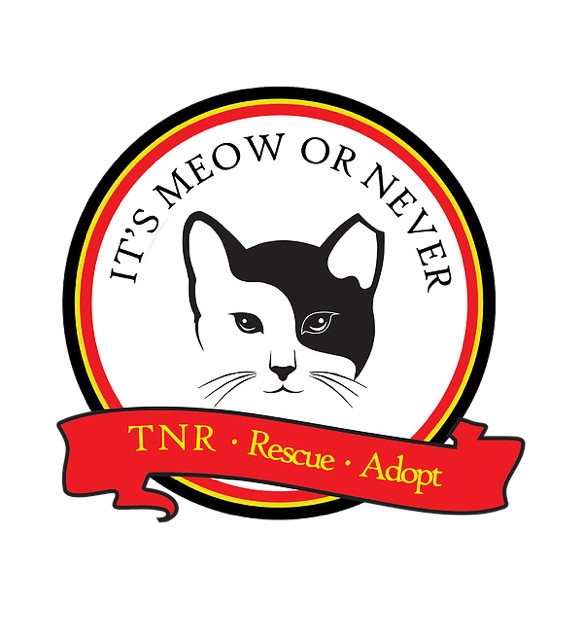 Its Meow or Never for Ferals, Inc.