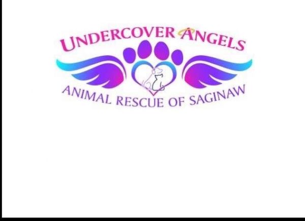 Undercover Angels Animal Rescue