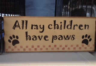 An adoption fair motto