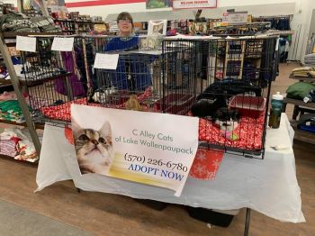 Adoption Events