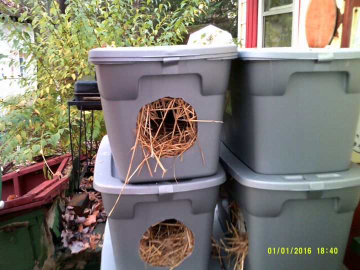 Shelter a Cat-A-Thon