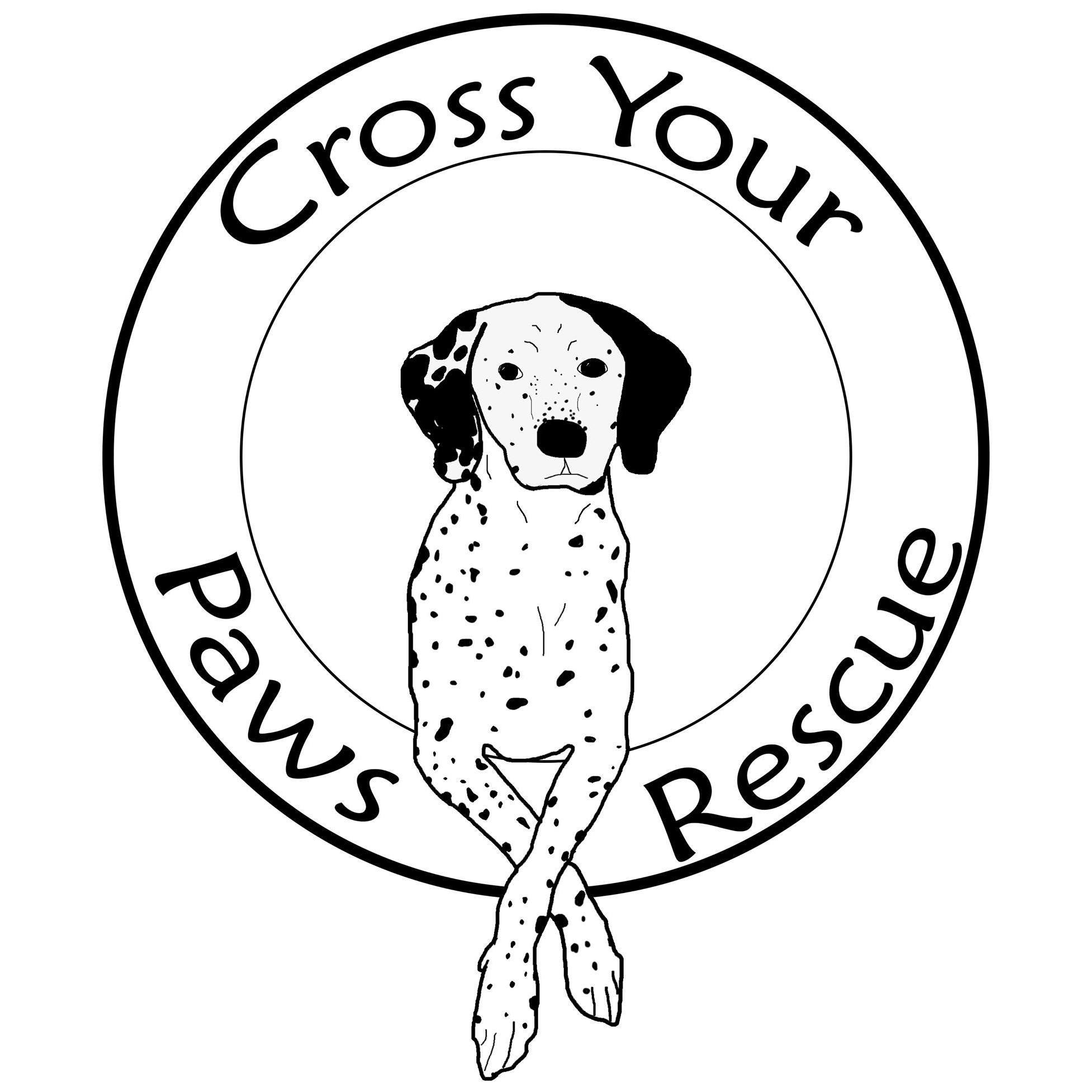 Pets For Adoption At Cross Your Paws Rescue In Irwin Pa Petfinder