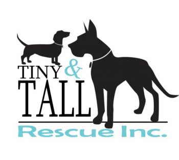 Www.tinyntallrescue.com