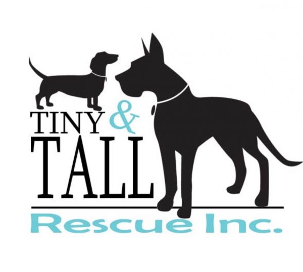 Tiny N Tall Rescue