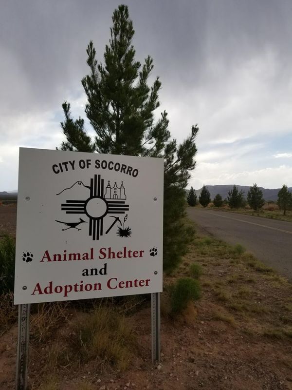 Socorro Animal Shelter Adoption Center