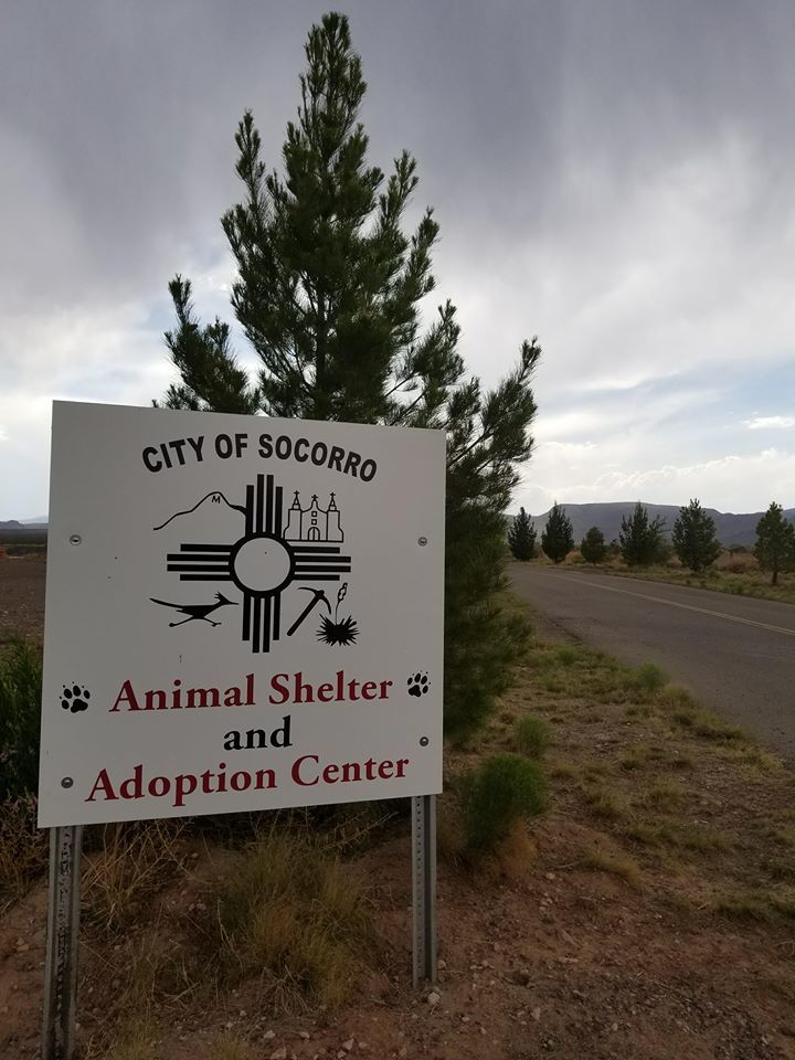 Socorro Animal Shelter & Adoption Center
