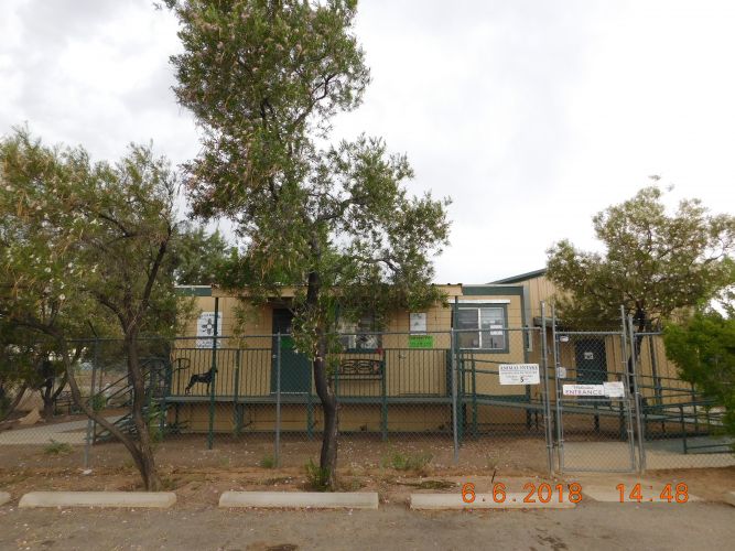 Pets For Adoption At Socorro Animal Shelter Adoption Center In Socorro Nm Petfinder