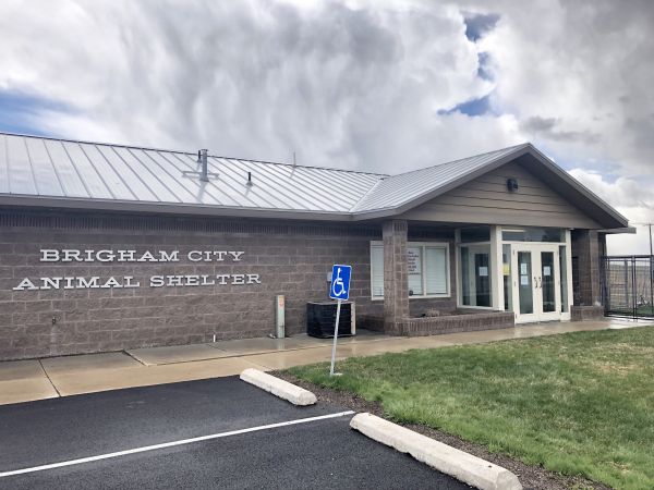 Brigham City Animal Shelter