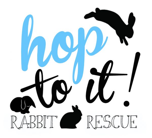 Hop To It Rabbit Rescue