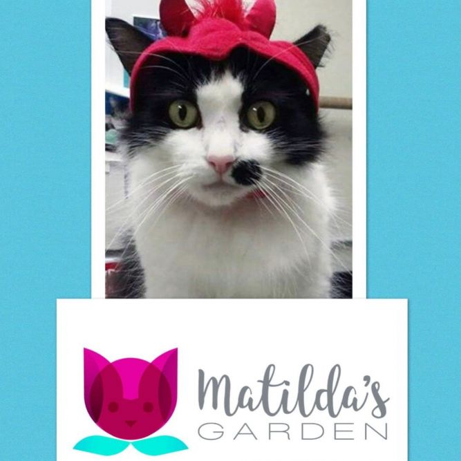Matilda's Garden